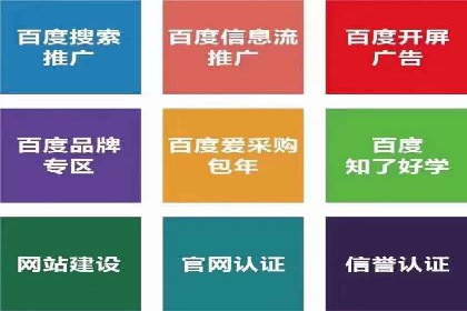 百度竞价排名策略优化：某公司广告投放效果翻倍的秘诀